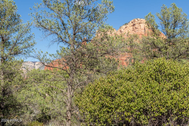 175CathedralRockTrl-3222
