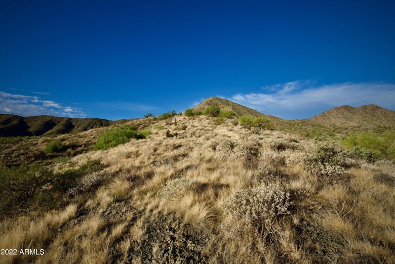 EN Lot 137 Photo 17
