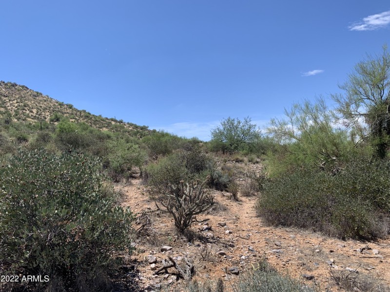 11886 south mnt