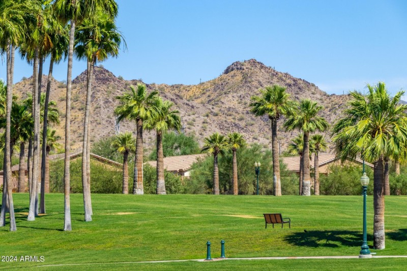 Enjoy tons of local parks