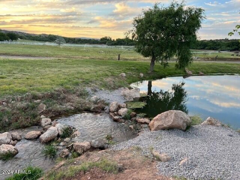 pond
