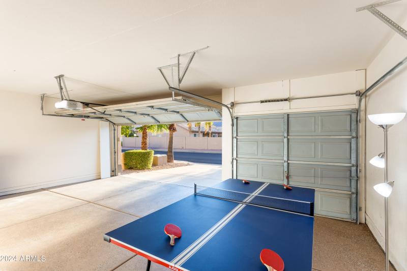 Table Tennis/Ping Pong