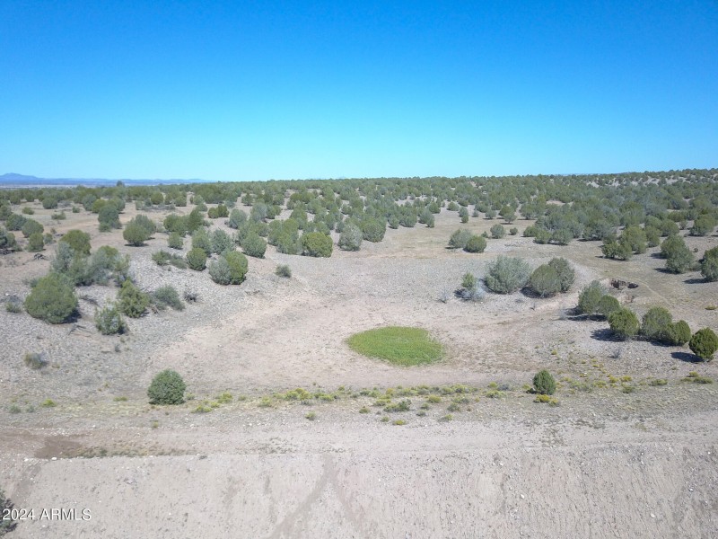 Drone View