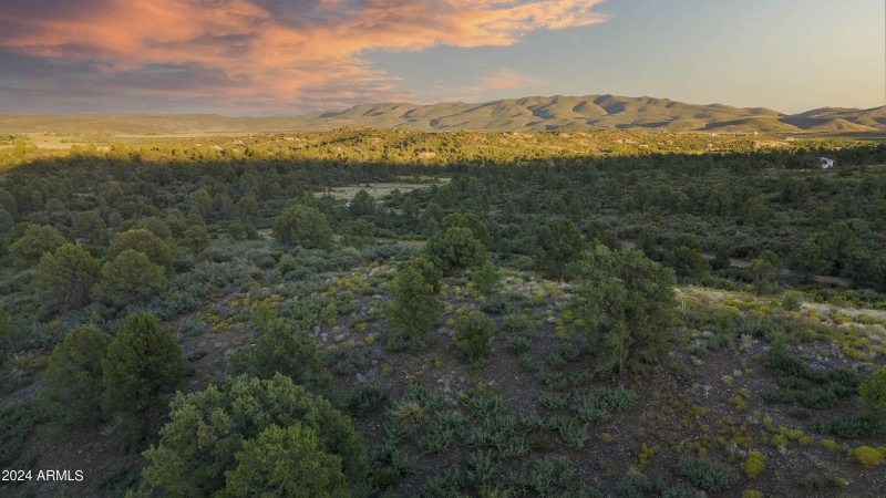 Property Views