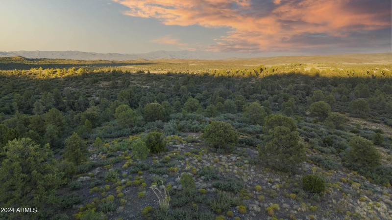 Property Views
