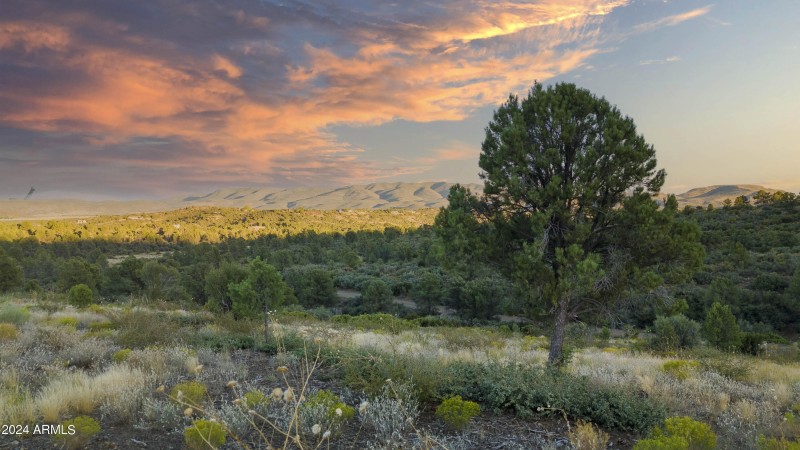 Property Views