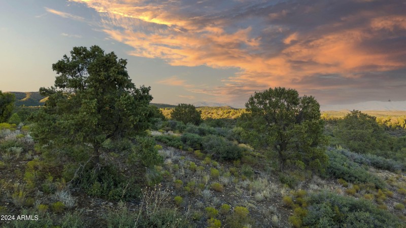 Property Views