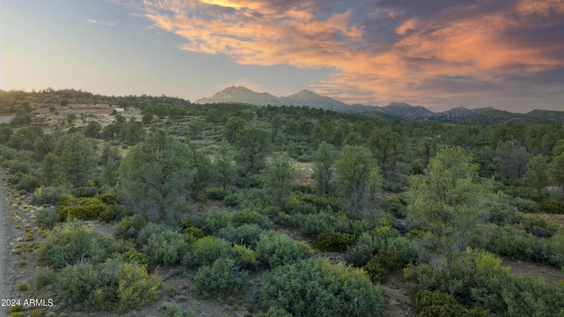 Property Views