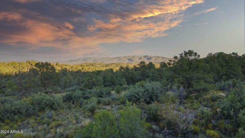 Property Views