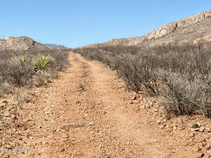 Wilderness Trail 1