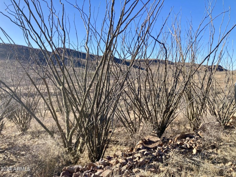 Wilderness Trail 2