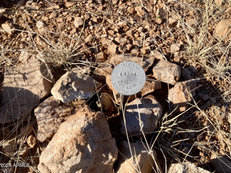 Wilderness Trail 4