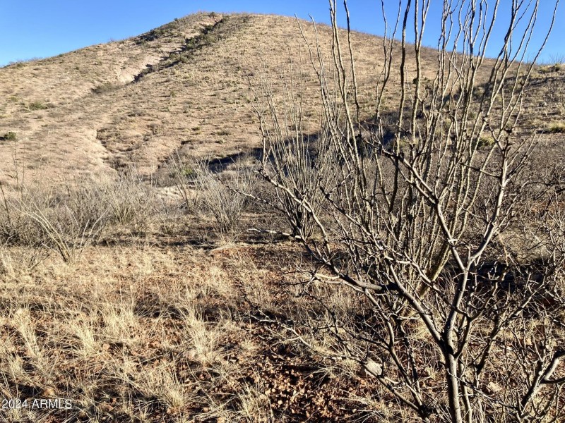 Wilderness Trail 5