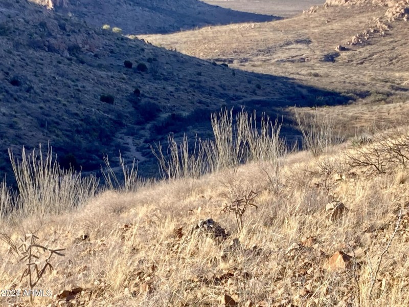 Wilderness Trail 6