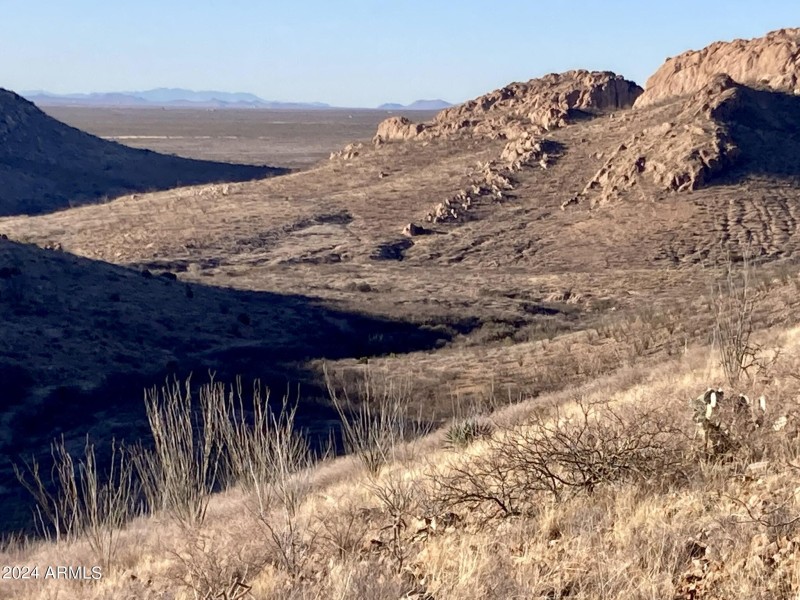 Wilderness Trail 7