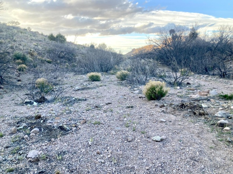 Wilderness Trail 10