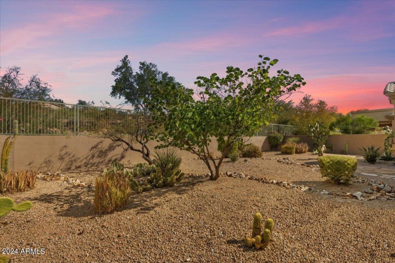 Backyard Twilight 15120 EVD