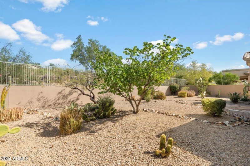 Backyard View Fence 15120 EVD