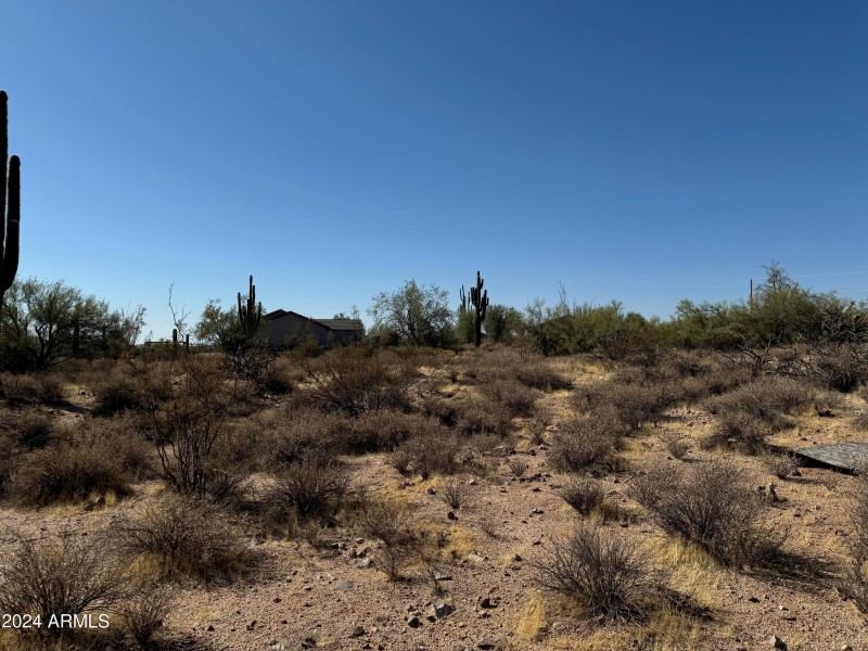 Fairly level lot