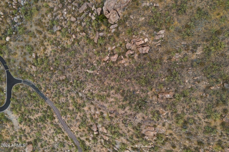 07-69907534
