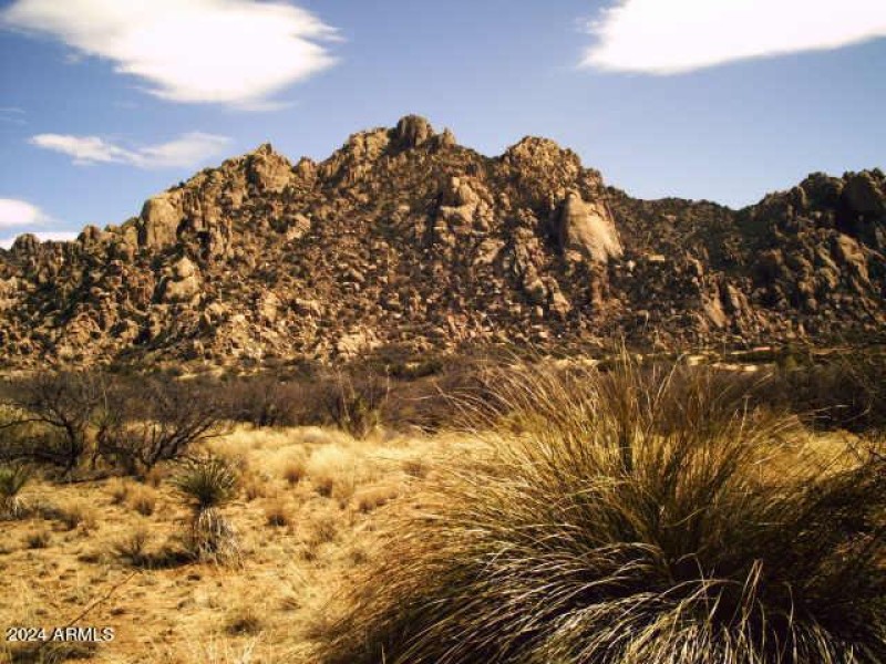 GOLD MNT