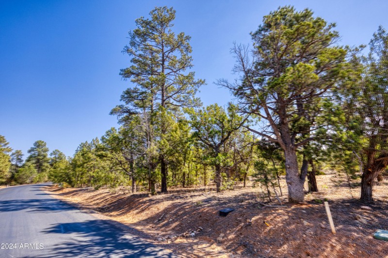 221 S FALLING LEAF RD 99, Show Low, AZ