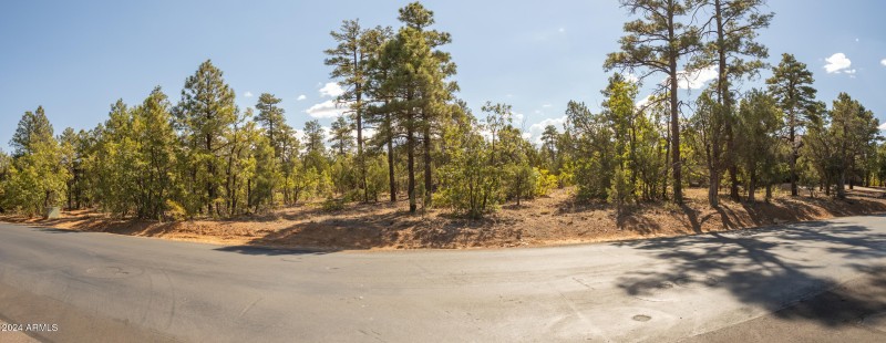 221 S FALLING LEAF RD 99, Show Low, AZ