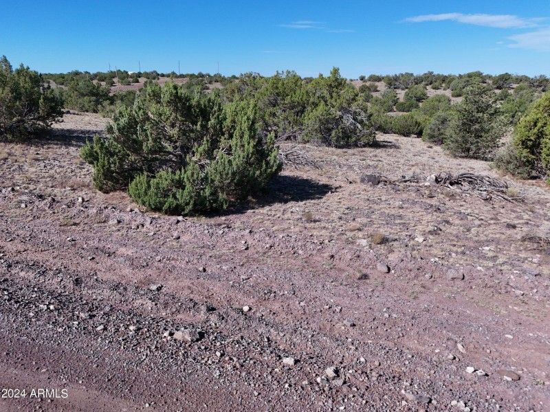 Coconino4