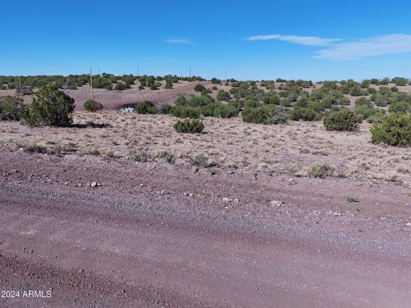 Coconino8