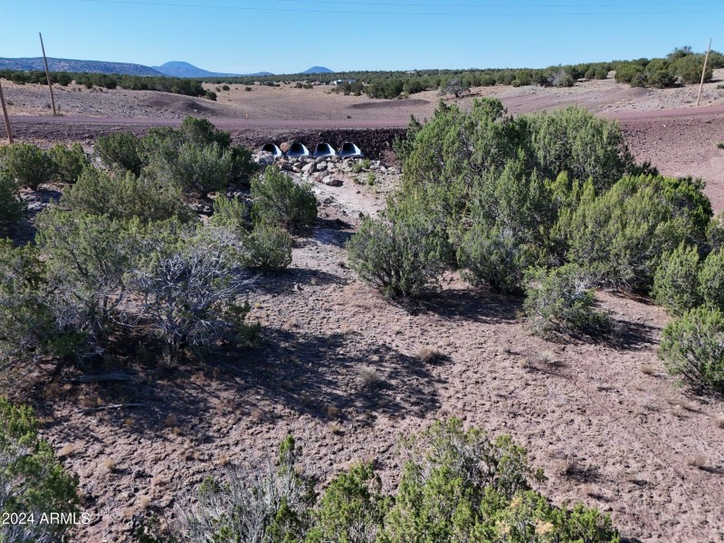 Coconino11
