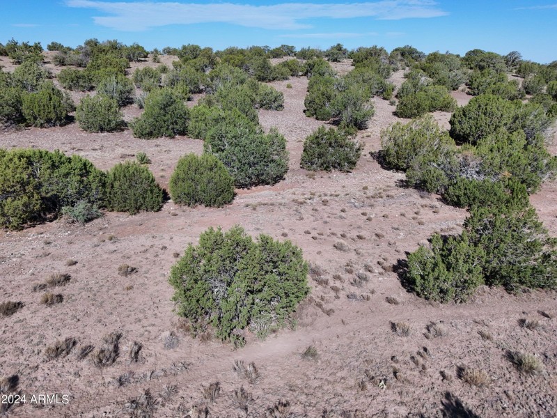 Coconino12