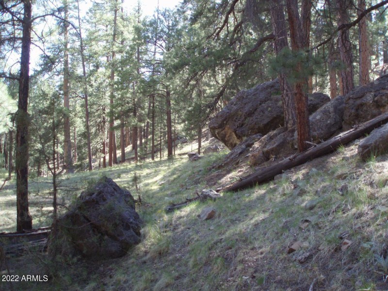 Photo 07