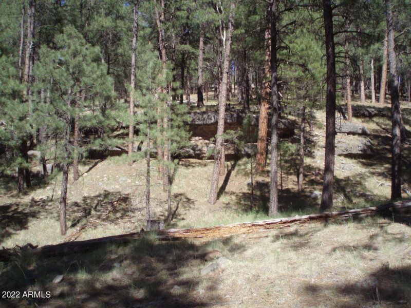 Photo 09
