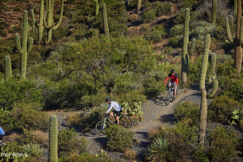 Mountain Biking