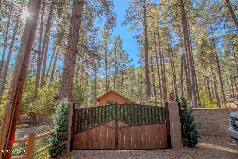 Mikesell - Saddle Mtn MLS-52