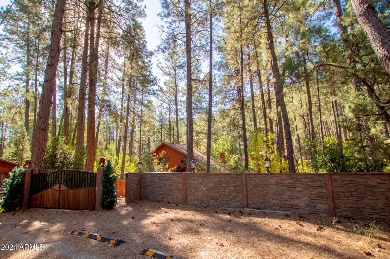 Mikesell - Saddle Mtn MLS-53