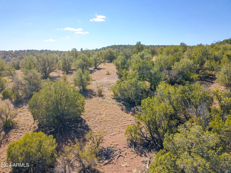 Drone View 4