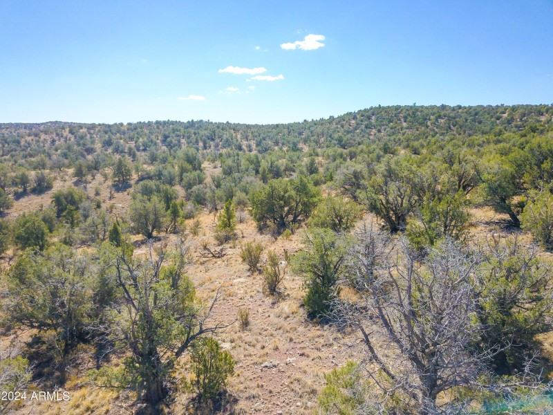 Drone View 7