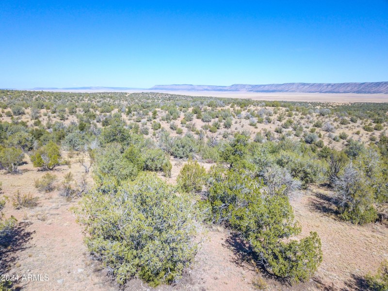 Drone View 10
