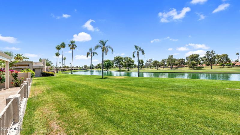 39-web-or-mls-P1054167