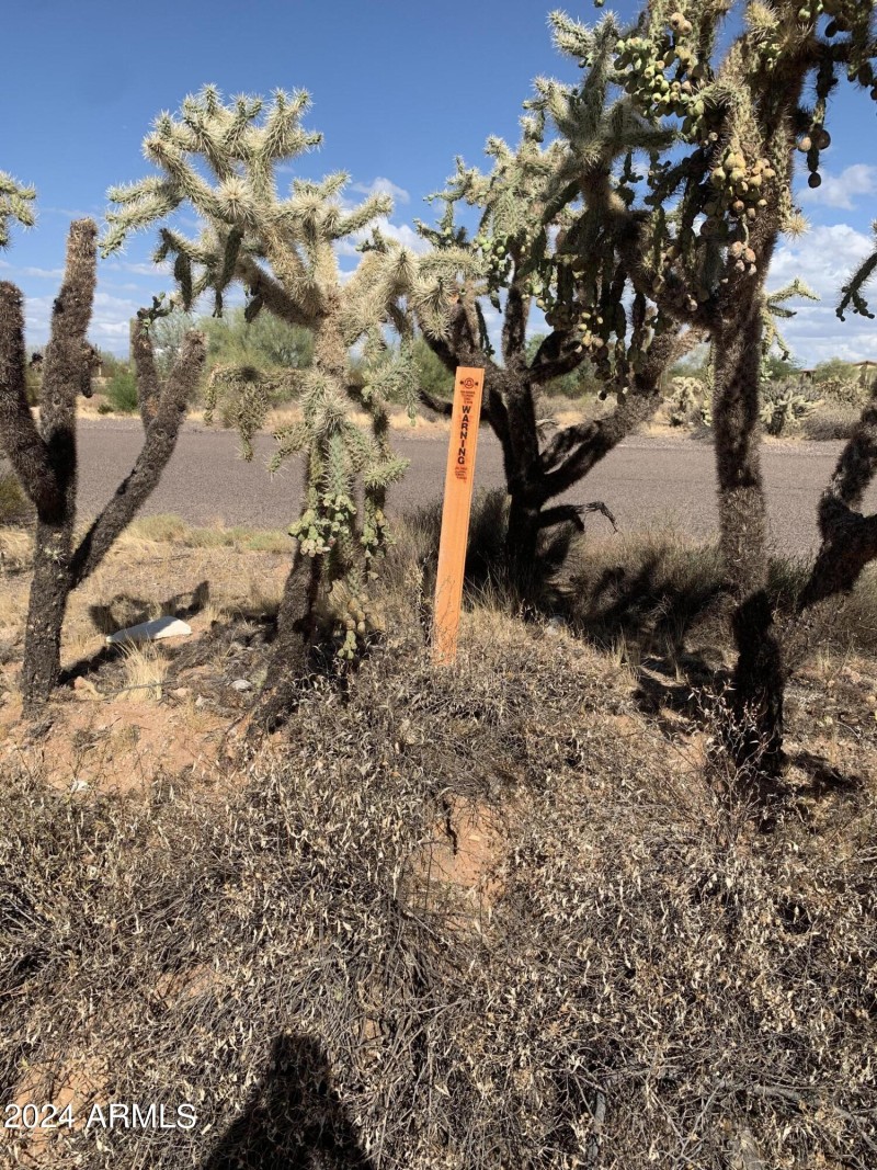 Hohokam Roca Utility