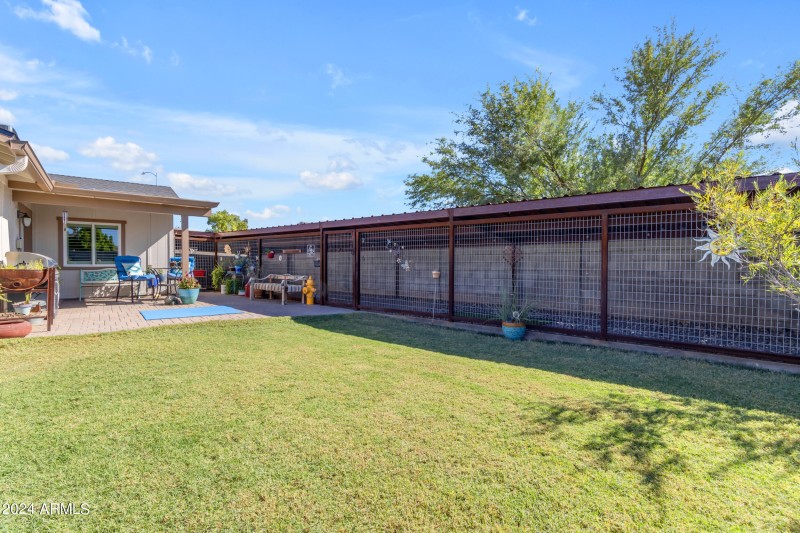 Backyard with Dog Run