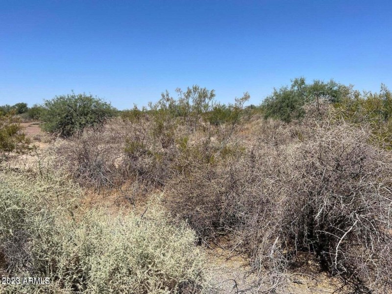 3035 N Taos Cir3