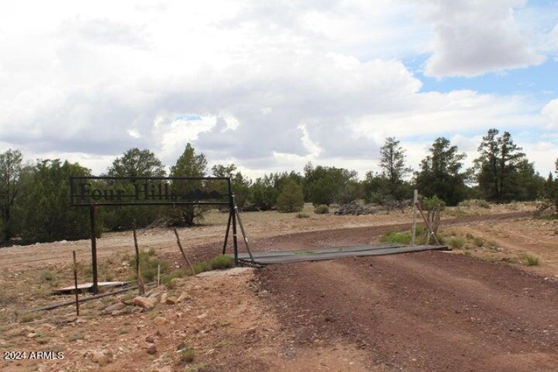 Four Hills cattle crossing