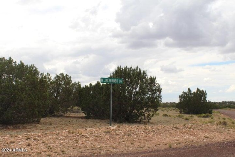 Jackrabbit Dr.