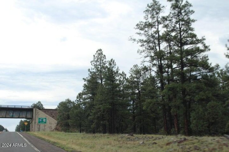 Route 64