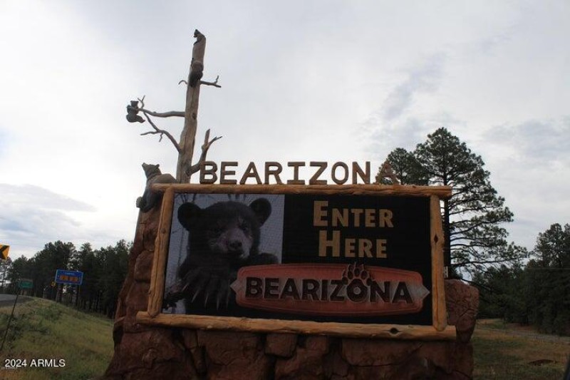 Bearizona Entrance