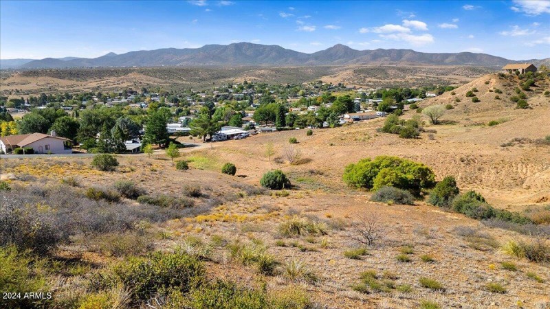 36-Backyard Aerial View
