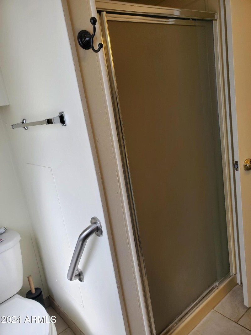 Master bath shower