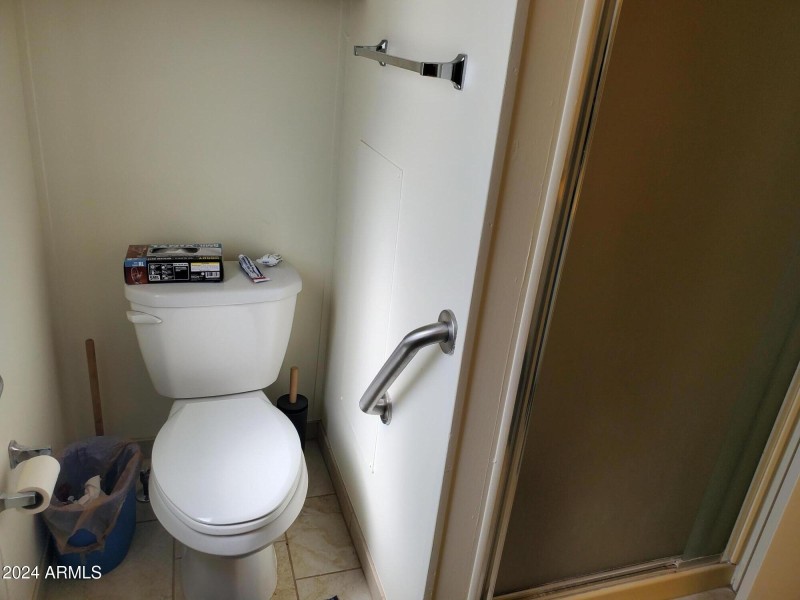 Master bath toilet